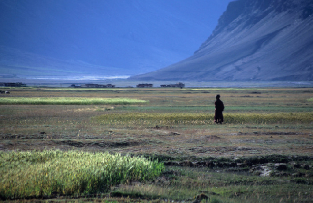 Boundless valley of Zanskar river Zanskar. Ladakh, Jammu & Kashmir, India 8/2004, © fot.: Radek Kucharski