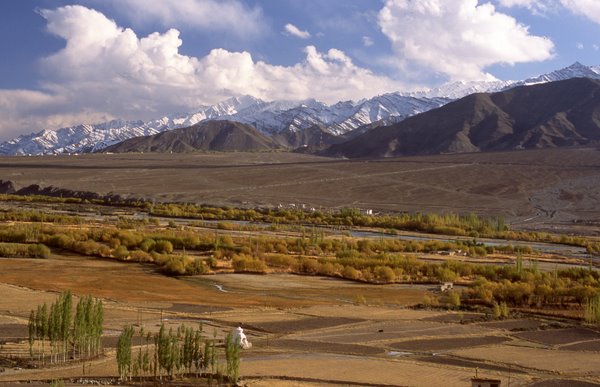 Autumn view of Indus valley Central Ladakh, Jammu & Kashmir, India 10/2009, © fot.: Radek Kucharski