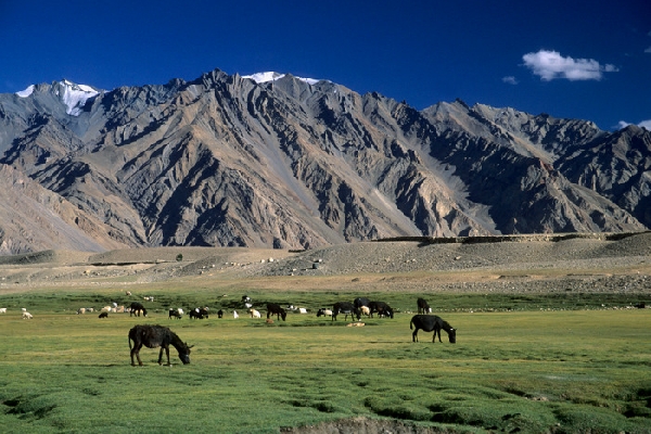 Zanskar valley Ladakh. Jammu &amp; Kashmir, India 8/2004, © fot.: Radek Kucharski