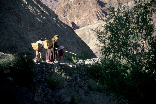 A woman with children on a mountain route Ladakh. Jammu&Kashmir, India 8/2004, © fot.: Radek Kucharski
